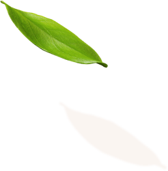 alt image
